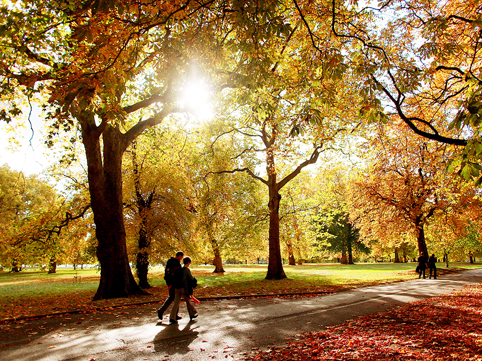 Autumn in Hyde Park, London