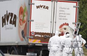 Полиция Австрии обнаружила 71 тело в фургоне грузовика.