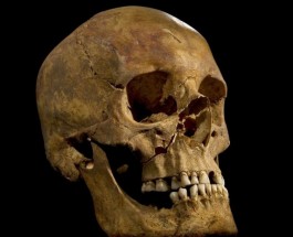 Король Ричарда III, его ли это череп?
