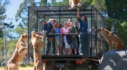 Отпуск в Новой Зеландии. Зоопарк, где люди в клетках. Видео.