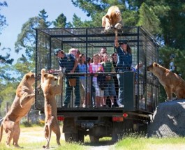 Отпуск в Новой Зеландии. Зоопарк, где люди в клетках. Видео.