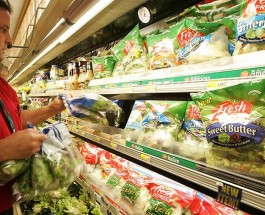 Овощи для супермаркетов Великобритании выращивают рабы в Испании.