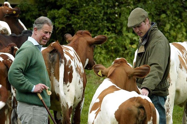 Принц Уильям будет изучать сельское хозяйство в Кембриджском университете.