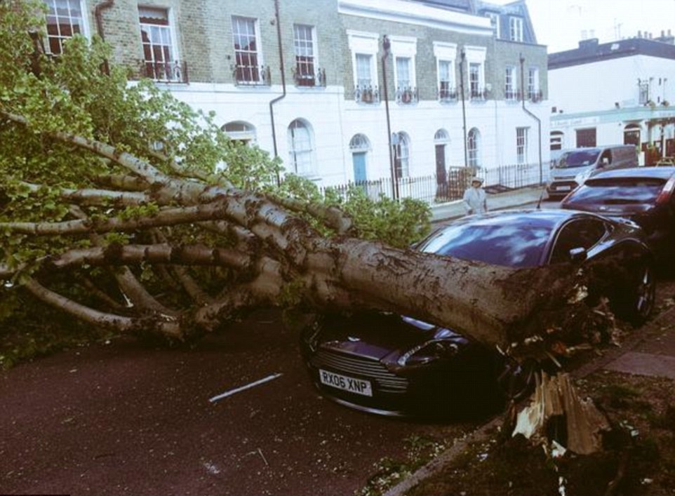 Погода в Англии. Что случилось с весной?